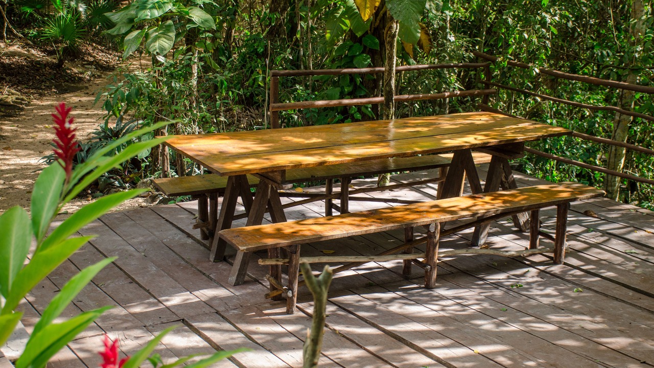 Photo of Patio Balcony in Leona Vicario