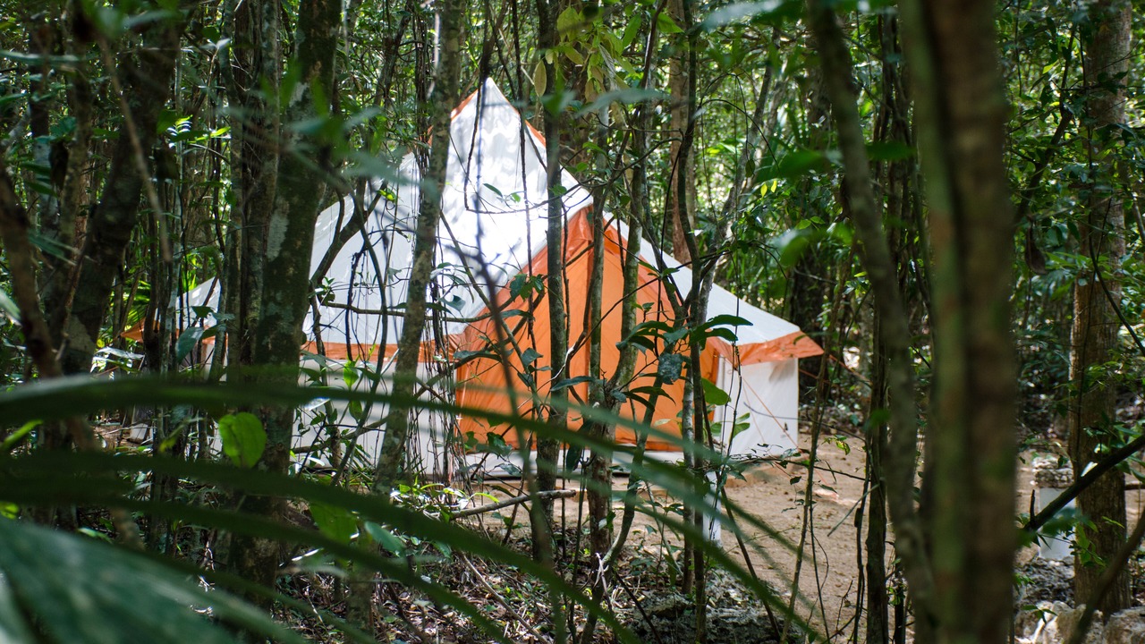 Photo of Outdoor in Leona Vicario