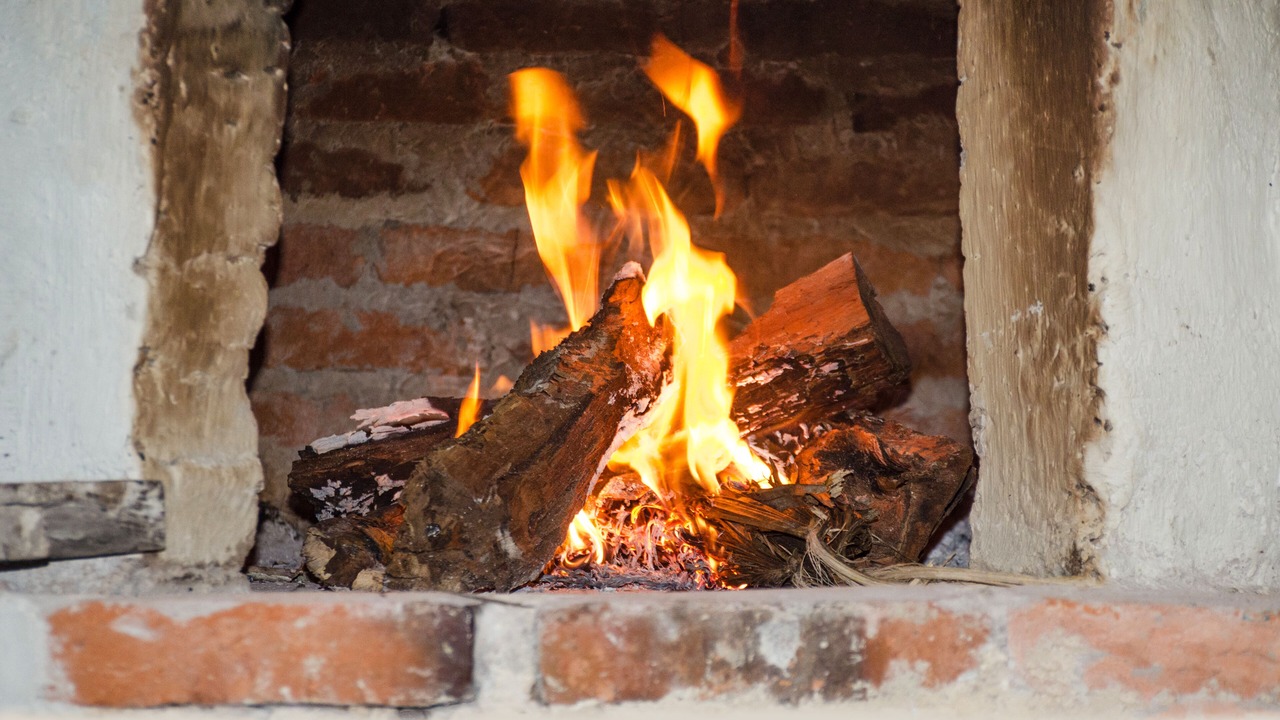 Photo of Outdoor in Leona Vicario