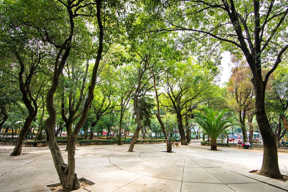 Photo of Outdoor in Anahuac