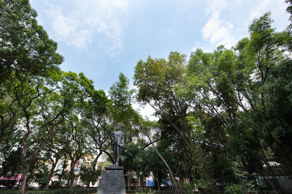 Photo of Outdoor in Anahuac