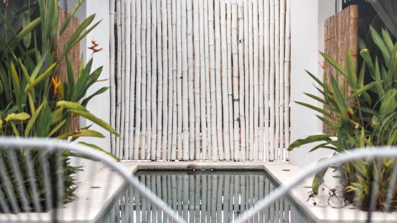 Photo of Outdoor in San Francisco