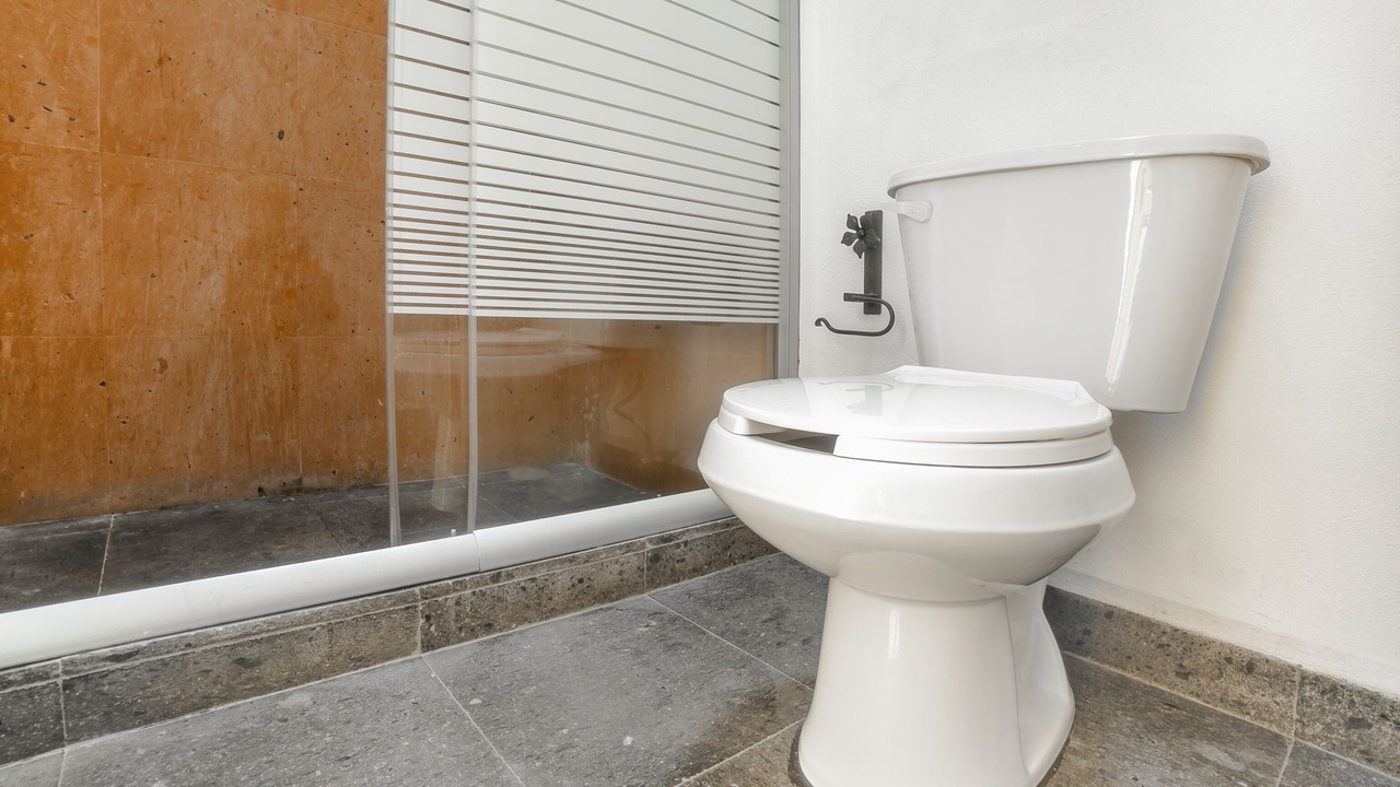 Photo of Bathroom in Agua Fria