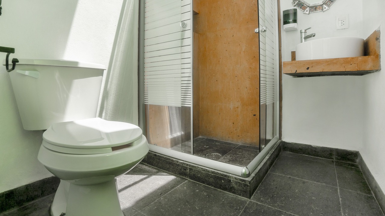 Photo of Bathroom in Agua Fria