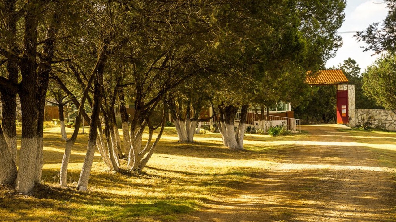 Photo of Outdoor in Huasca De Ocampo