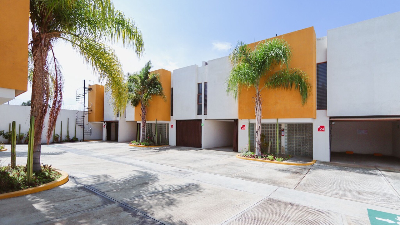 Photo of Outdoor in Santa Cruz Xoxocotlan
