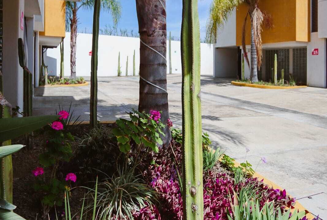 Photo of Outdoor in Santa Cruz Xoxocotlan