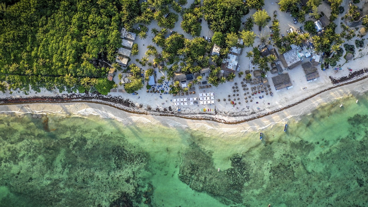 Photo of Others in Chemuyil