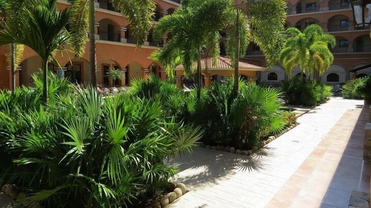 Photo of Outdoor in Centro