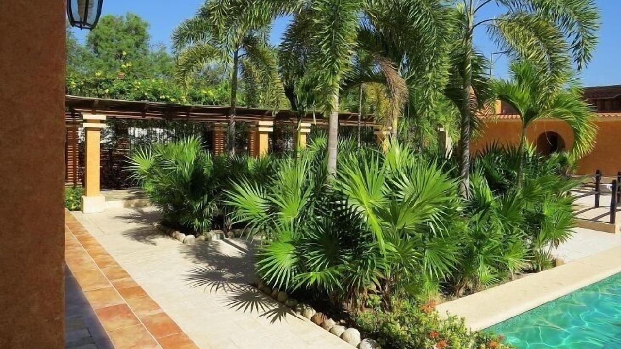 Photo of Outdoor in Centro