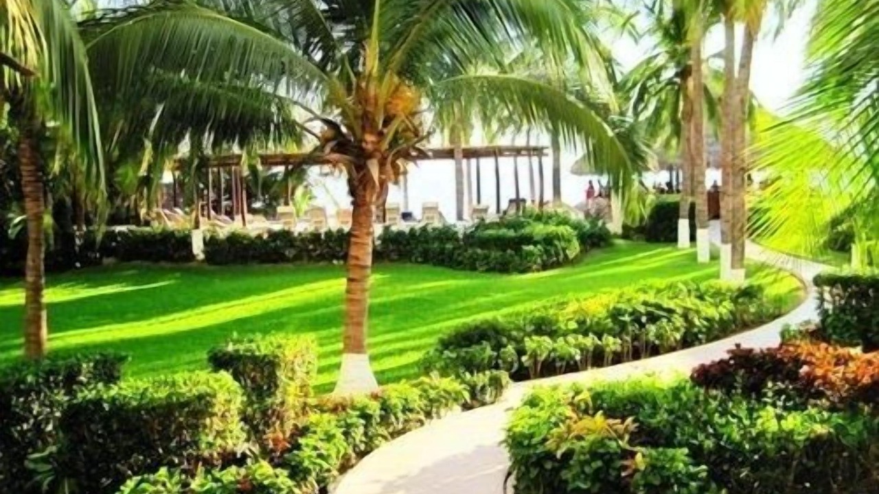 Photo of Outdoor in Ixtapa
