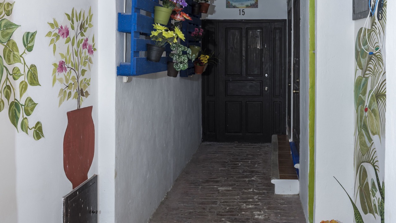 Photo of Others in Puerto Juarez