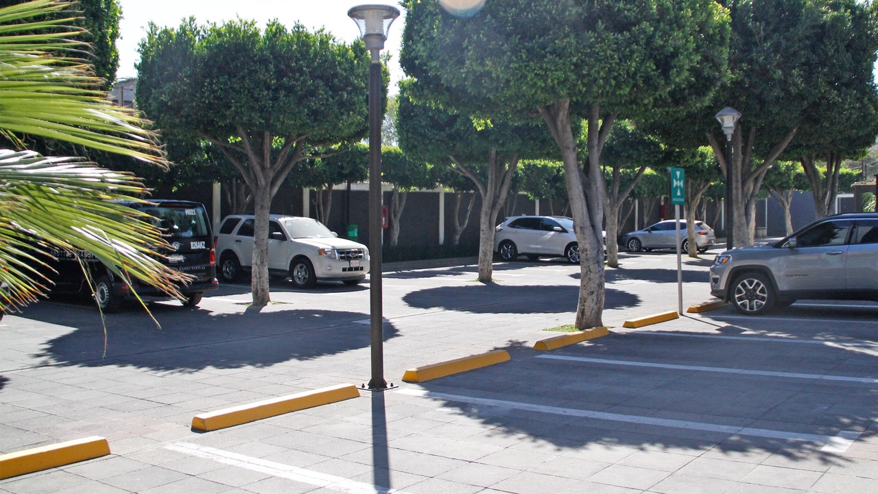 Photo of Others in Mexico City