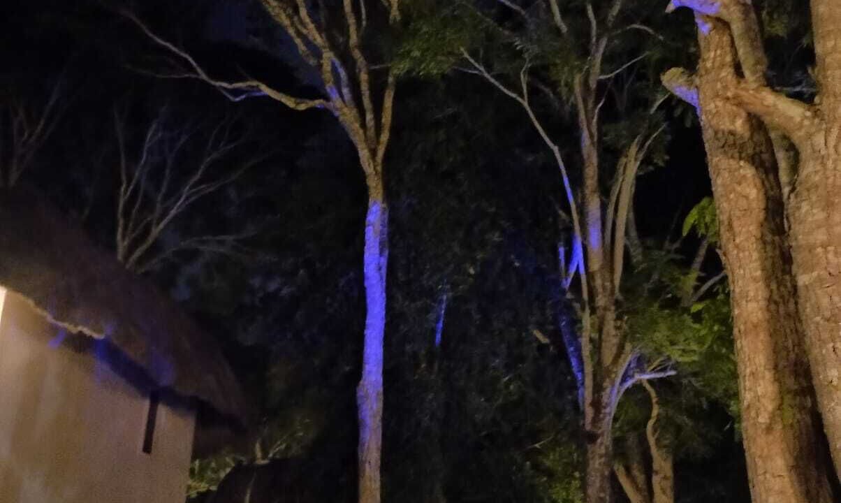 Photo of Outdoor in Xpujil