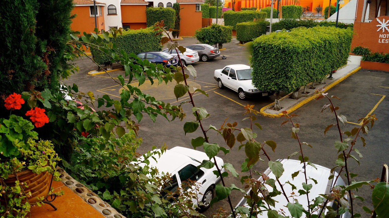 Photo of Others in Morelia