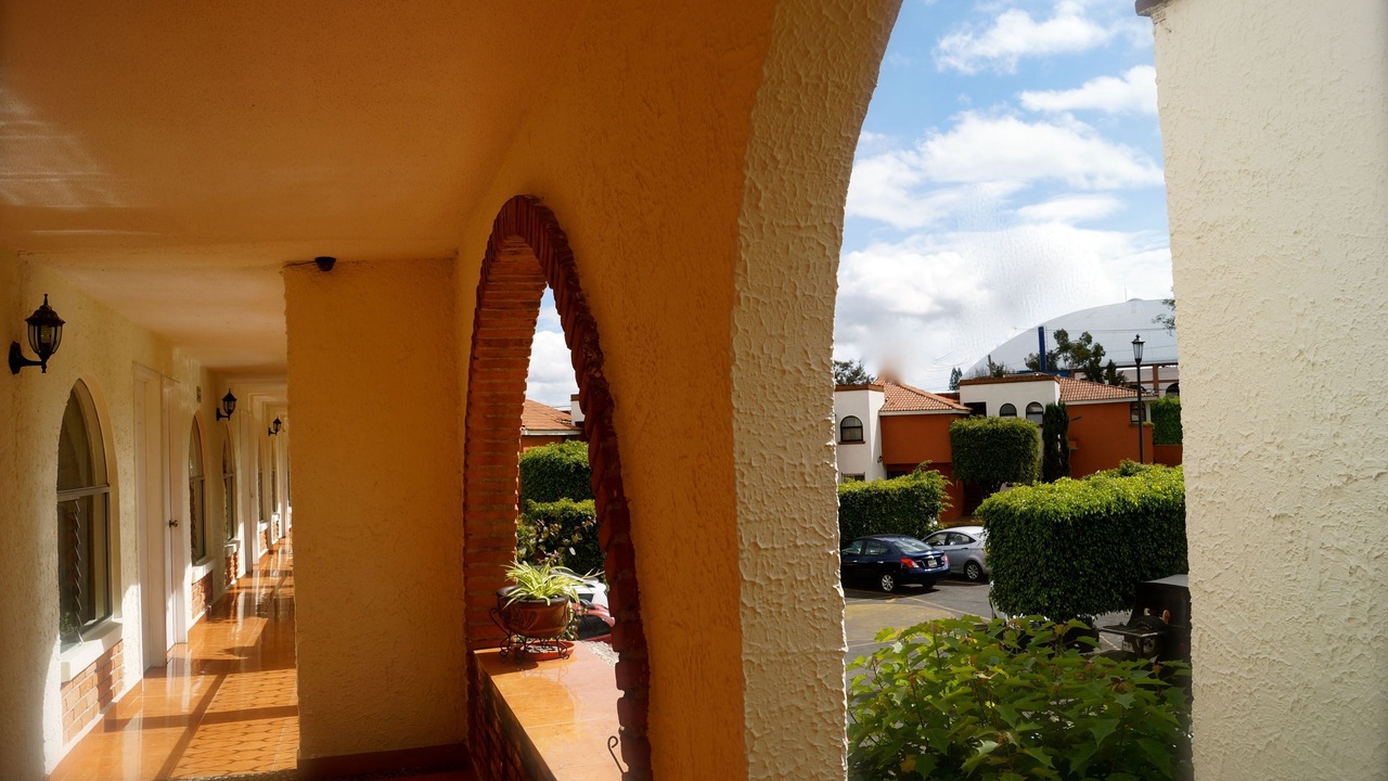 Photo of Others in Morelia