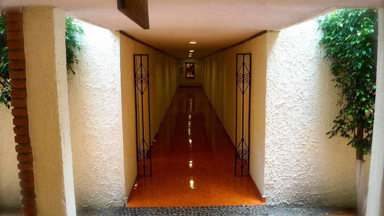 Photo of Others in Morelia