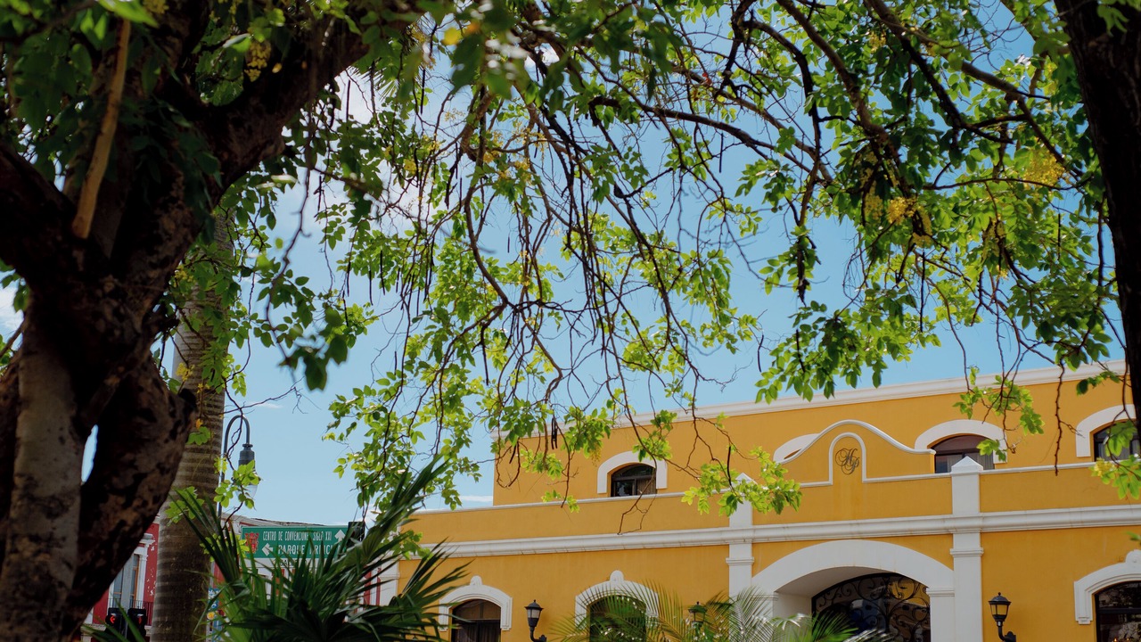 Photo of Outdoor in Zona Centro