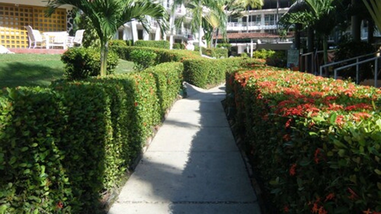 Photo of Outdoor in Costa Azul