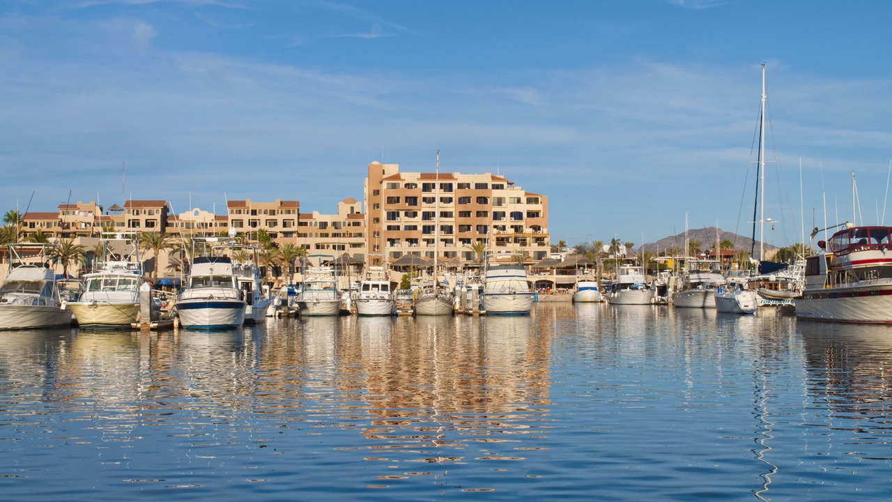 Photo of Others in San Carlos