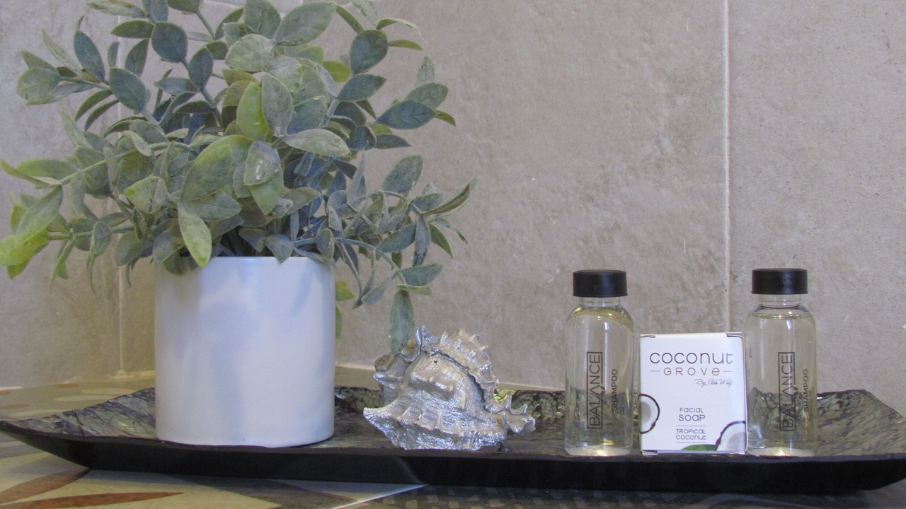 Photo of Bathroom in Colonia Centro