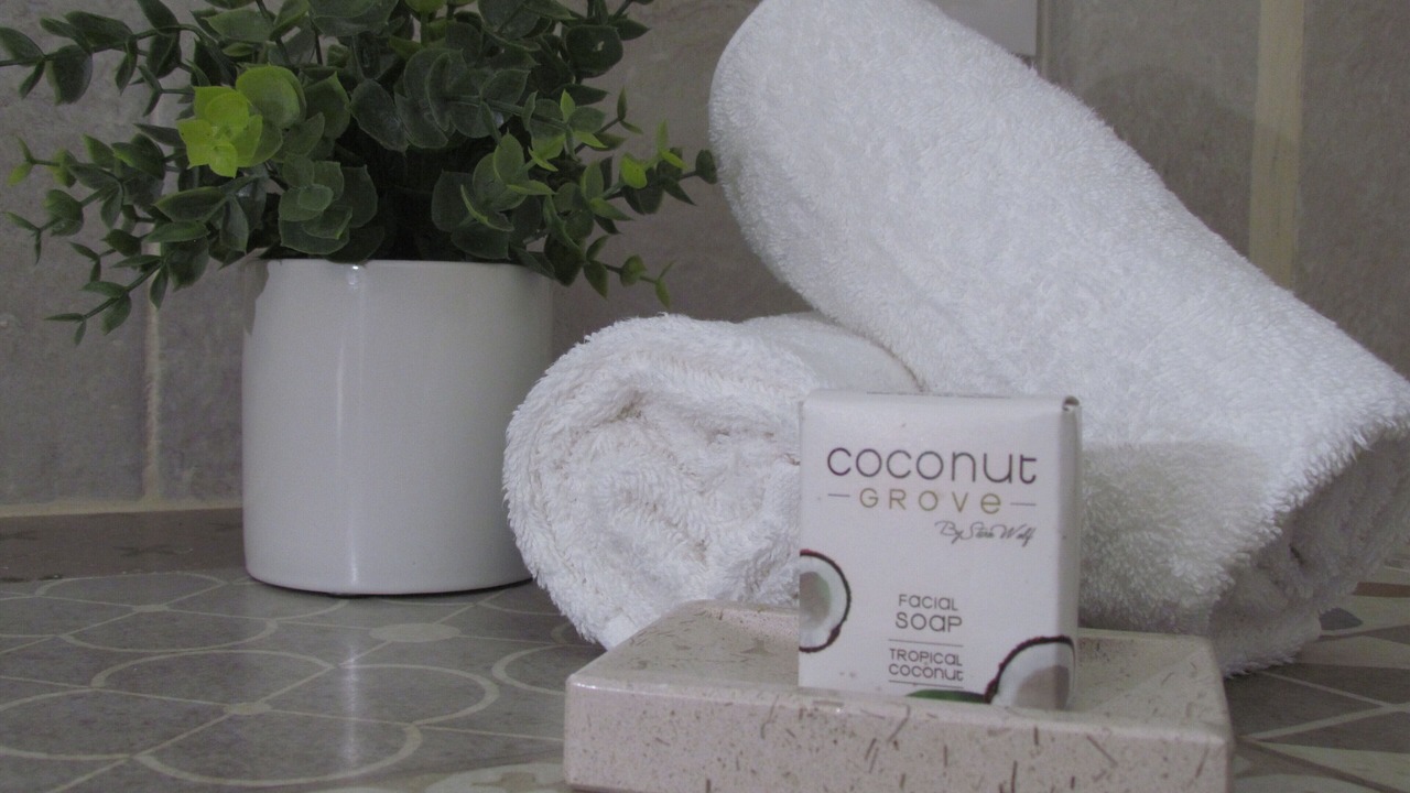 Photo of Bathroom in Colonia Centro