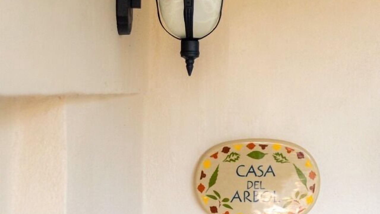 Photo of Outdoor in Colonia Centro