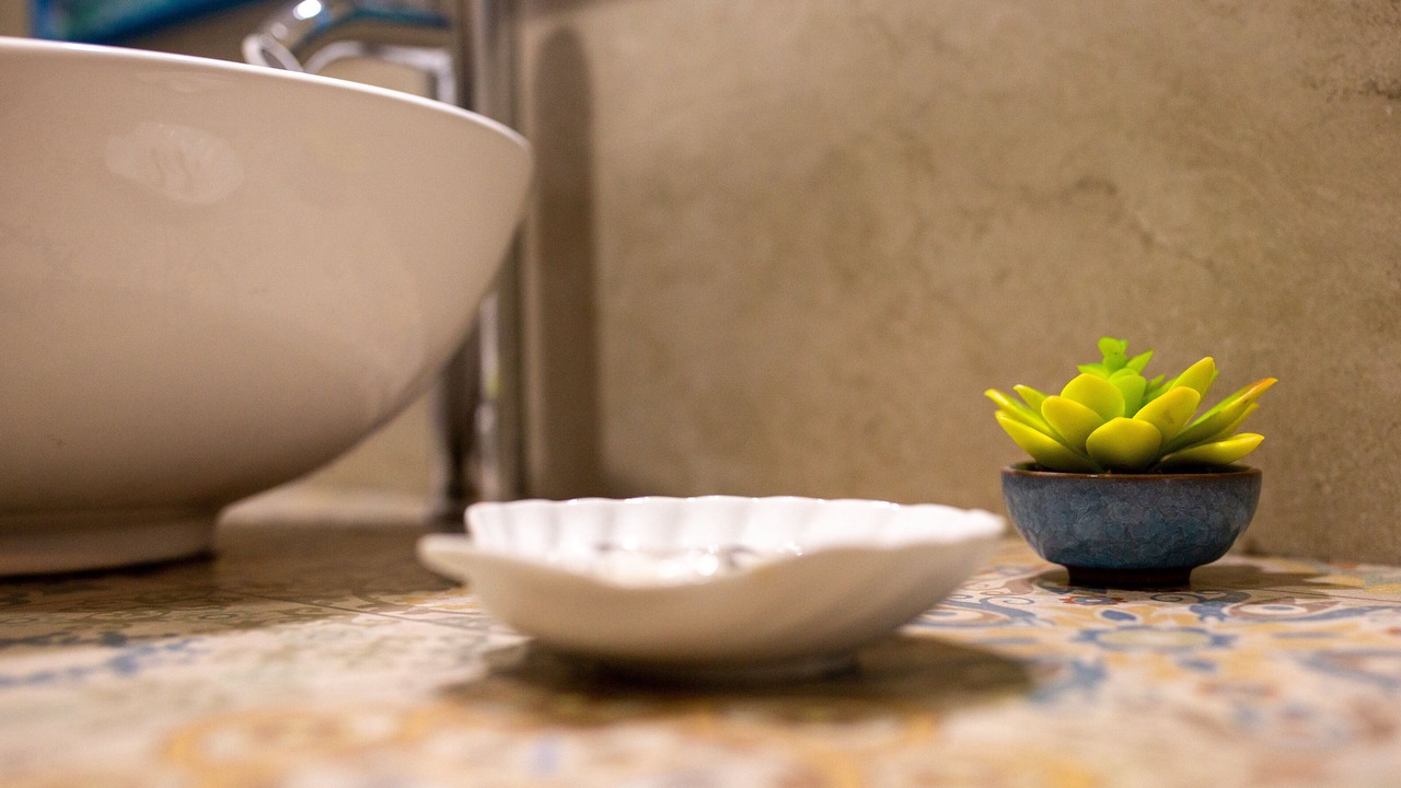 Photo of Bathroom in Colonia Centro