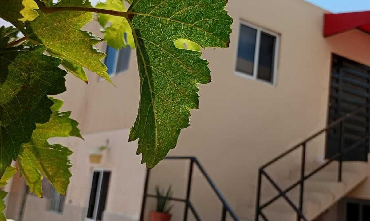 Photo of Outdoor in Los Mochis