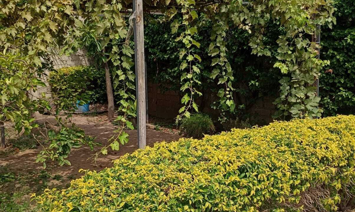 Photo of Outdoor in Los Mochis