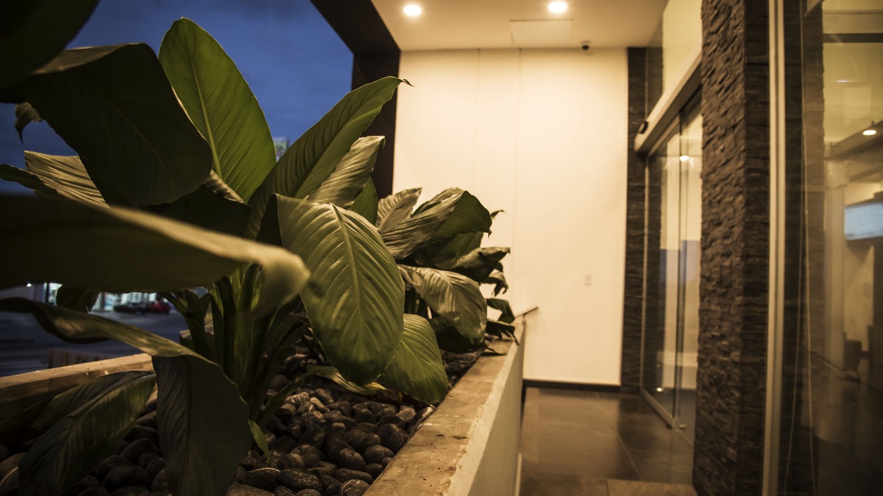 Photo of Outdoor in Veracruz