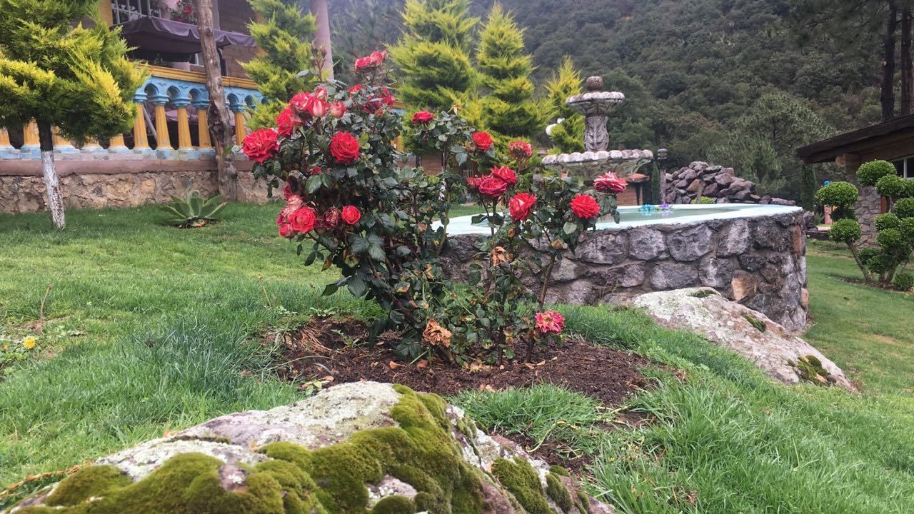 Photo of Outdoor in Tlaxco