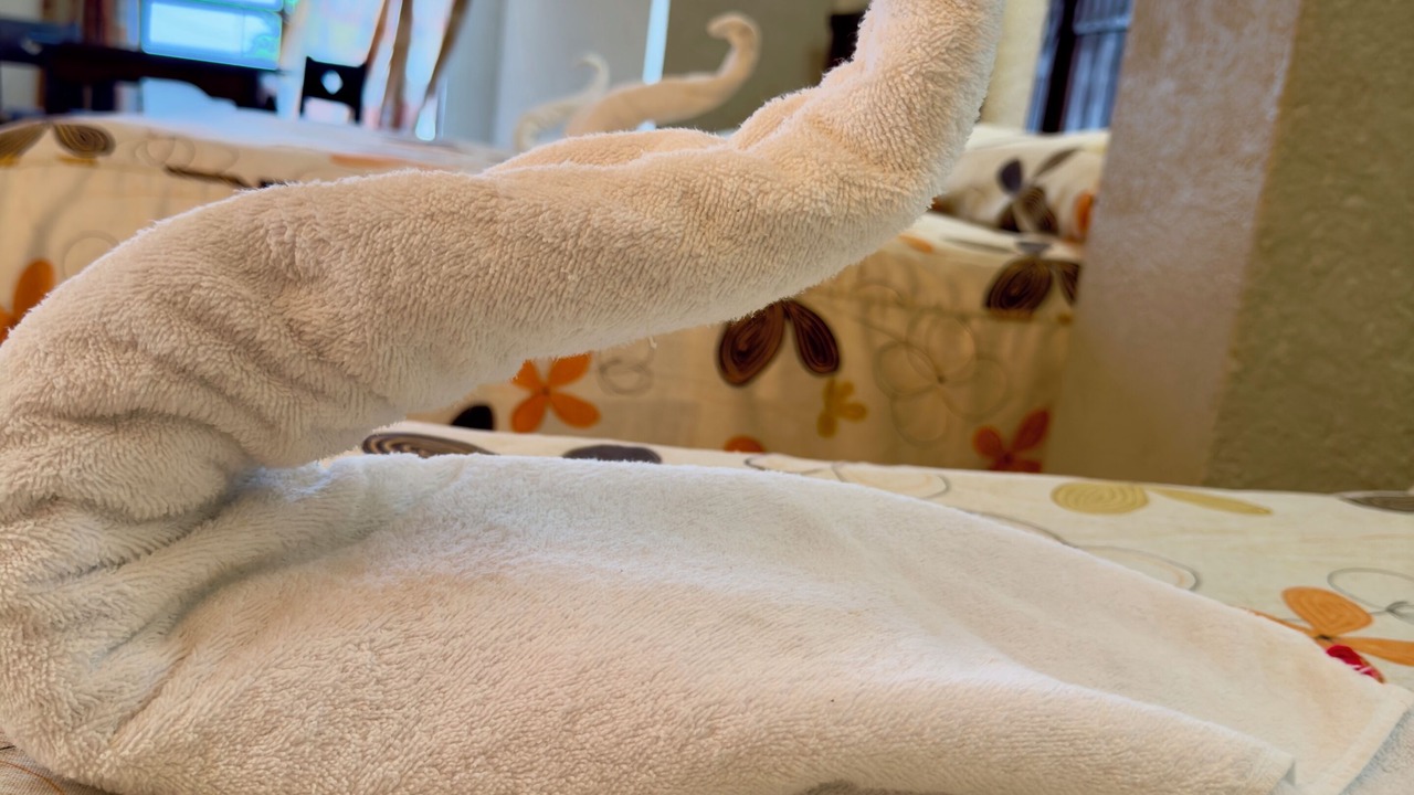 Photo of Bedroom in Magallanes