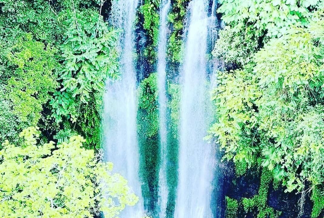 Photo of Outdoor in Catemaco