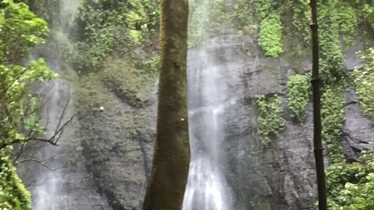Photo of Outdoor in Catemaco
