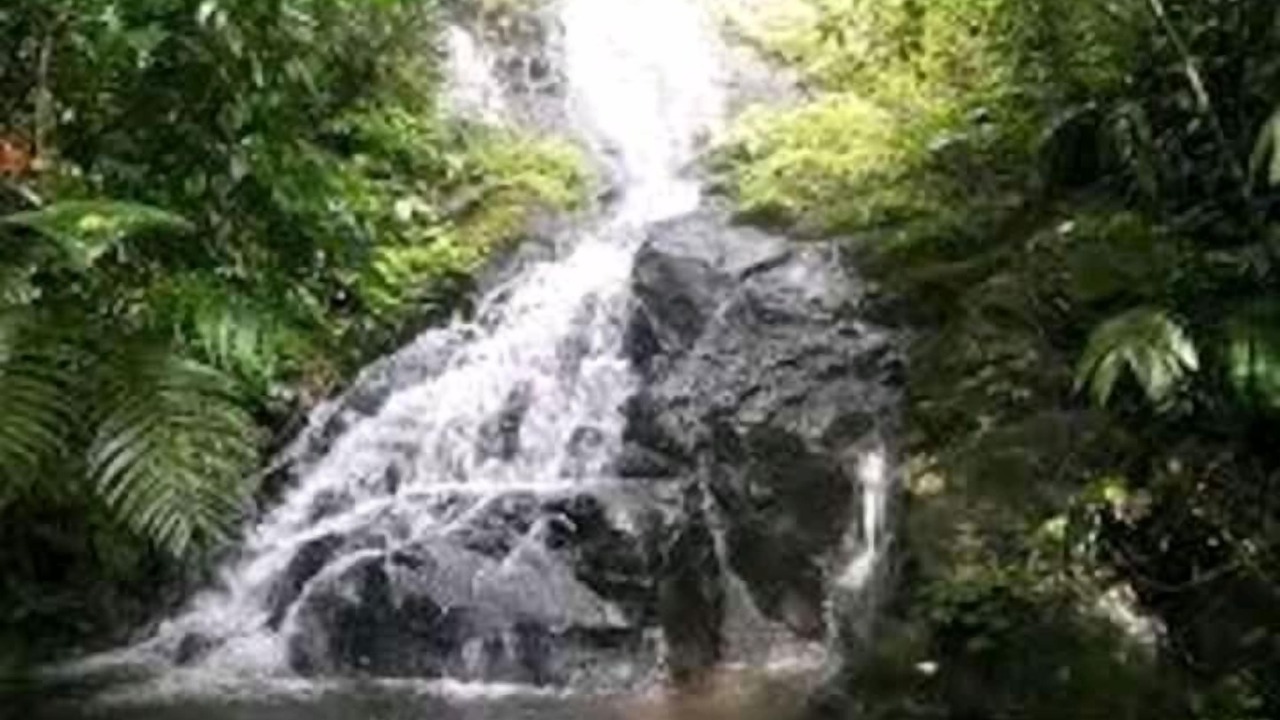 Photo of Outdoor in Catemaco