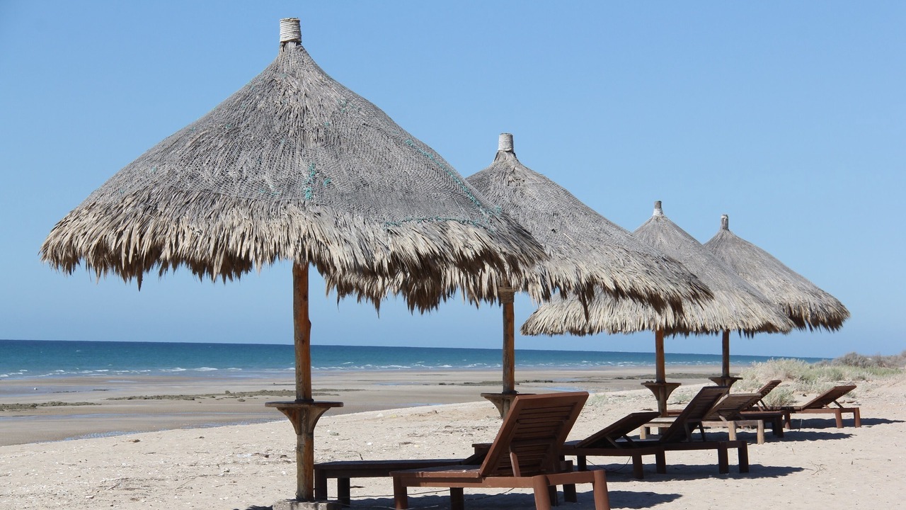 Photo of Others in Puerto Penasco