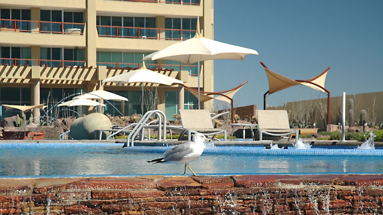 Photo of Outdoor in Puerto Penasco
