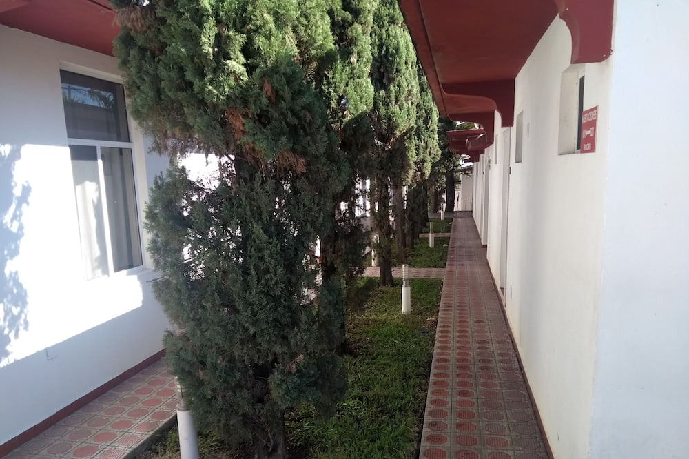 Photo of Others in Ciudad Victoria
