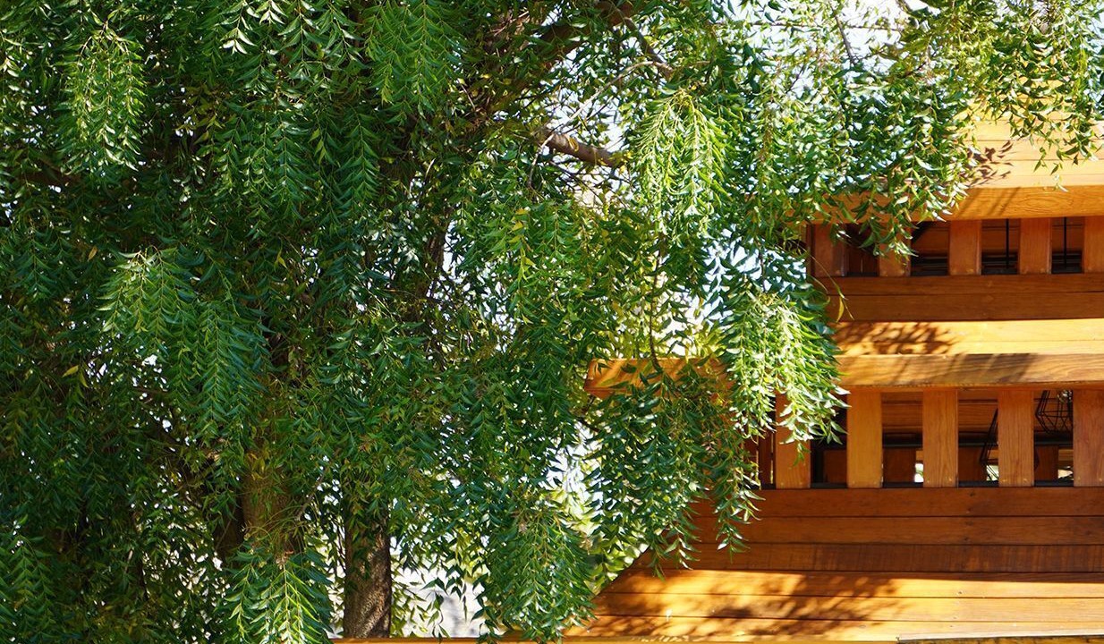 Photo of Outdoor in Xochitepec