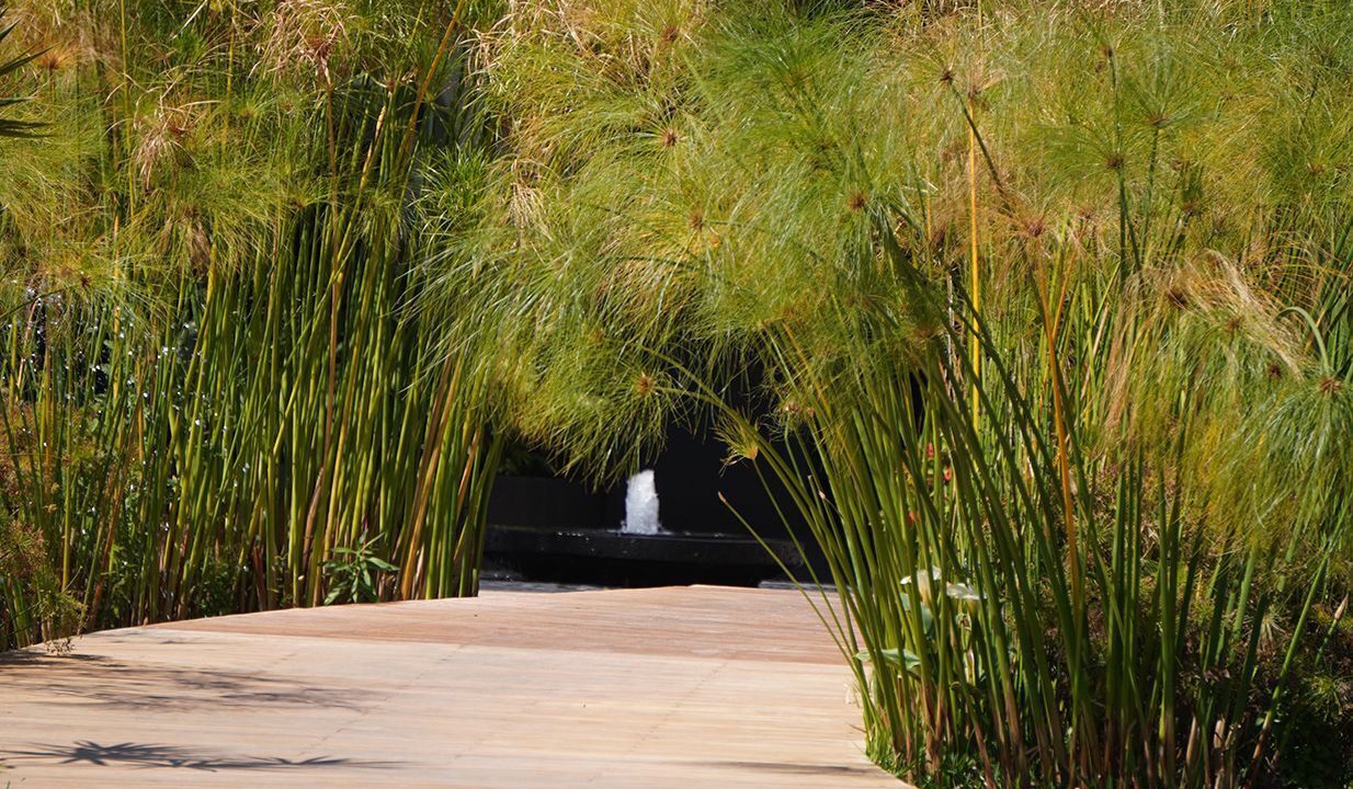 Photo of Outdoor in Xochitepec