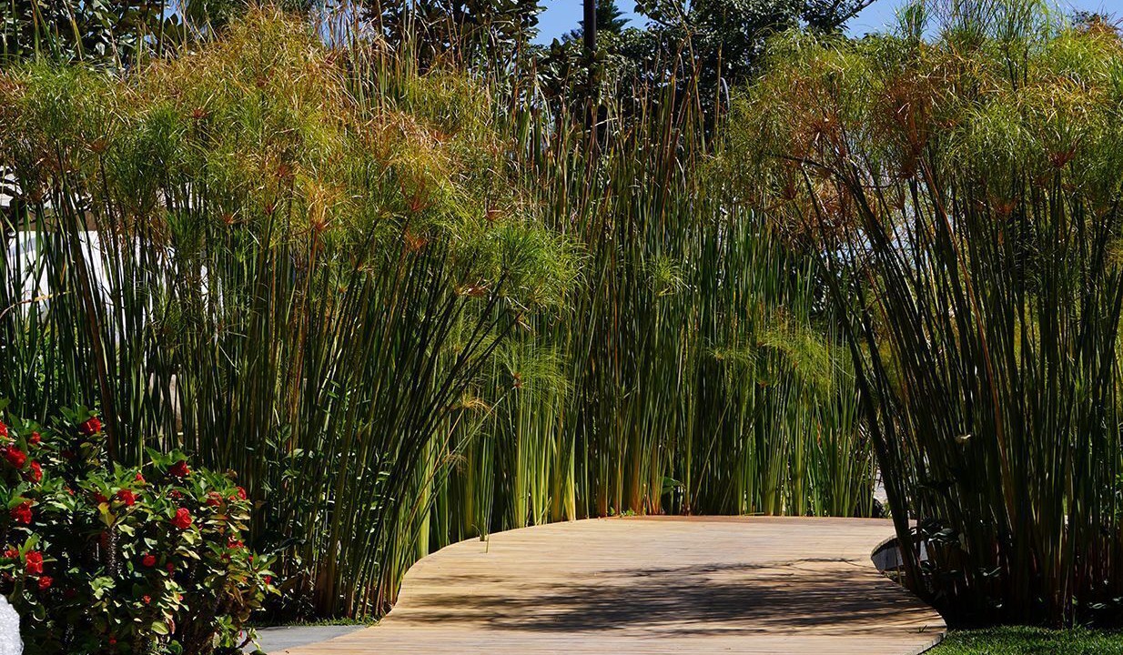 Photo of Outdoor in Xochitepec