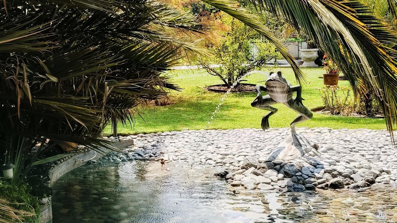 Photo of Outdoor in Teotihuacan Centro