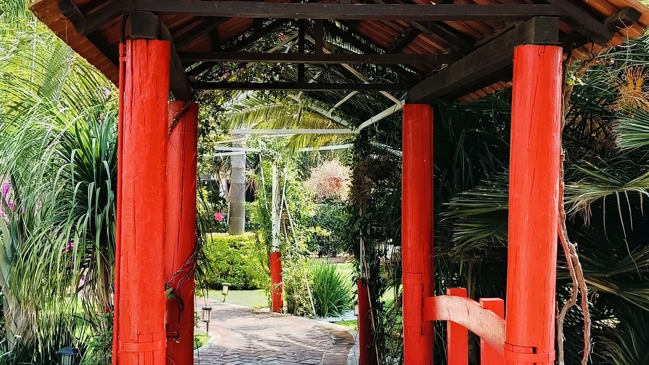 Photo of Outdoor in Teotihuacan Centro