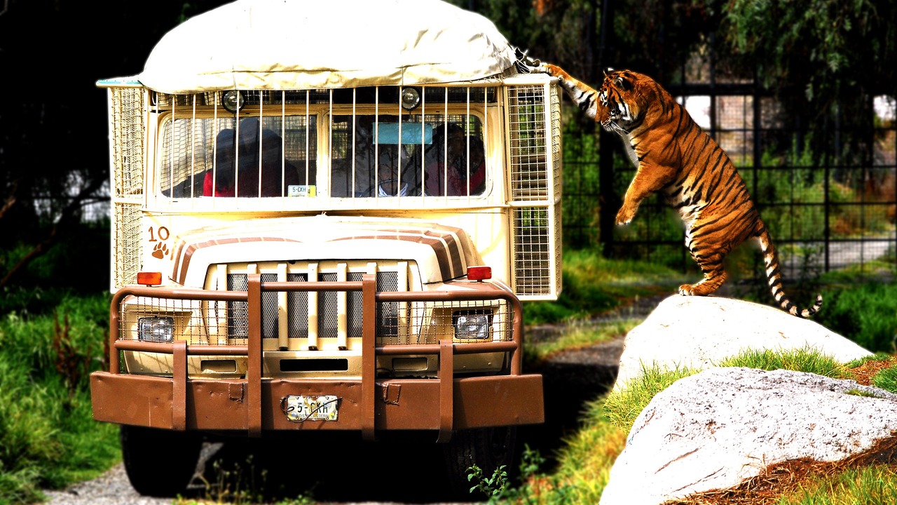 Photo of Others in Teotihuacan Centro