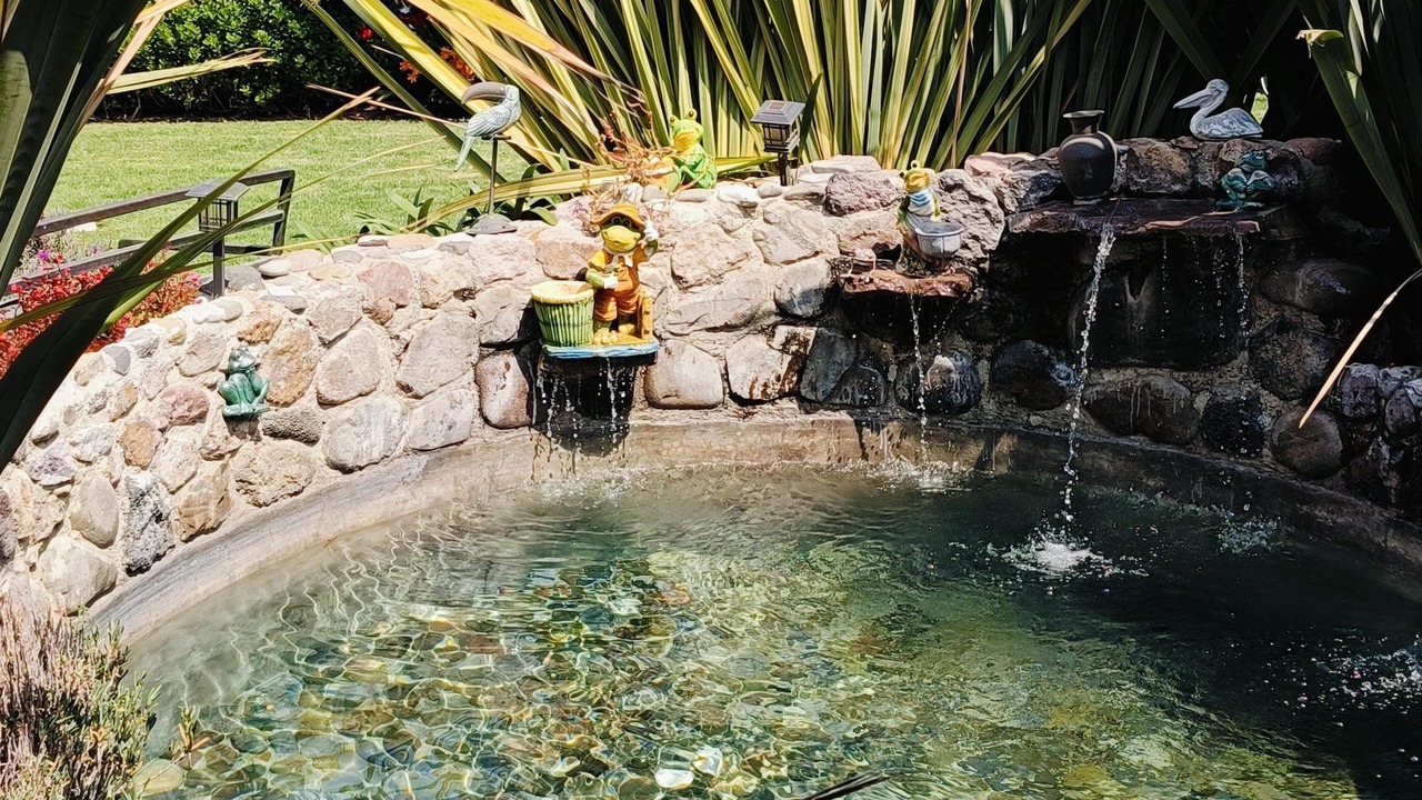 Photo of Outdoor in Teotihuacan Centro