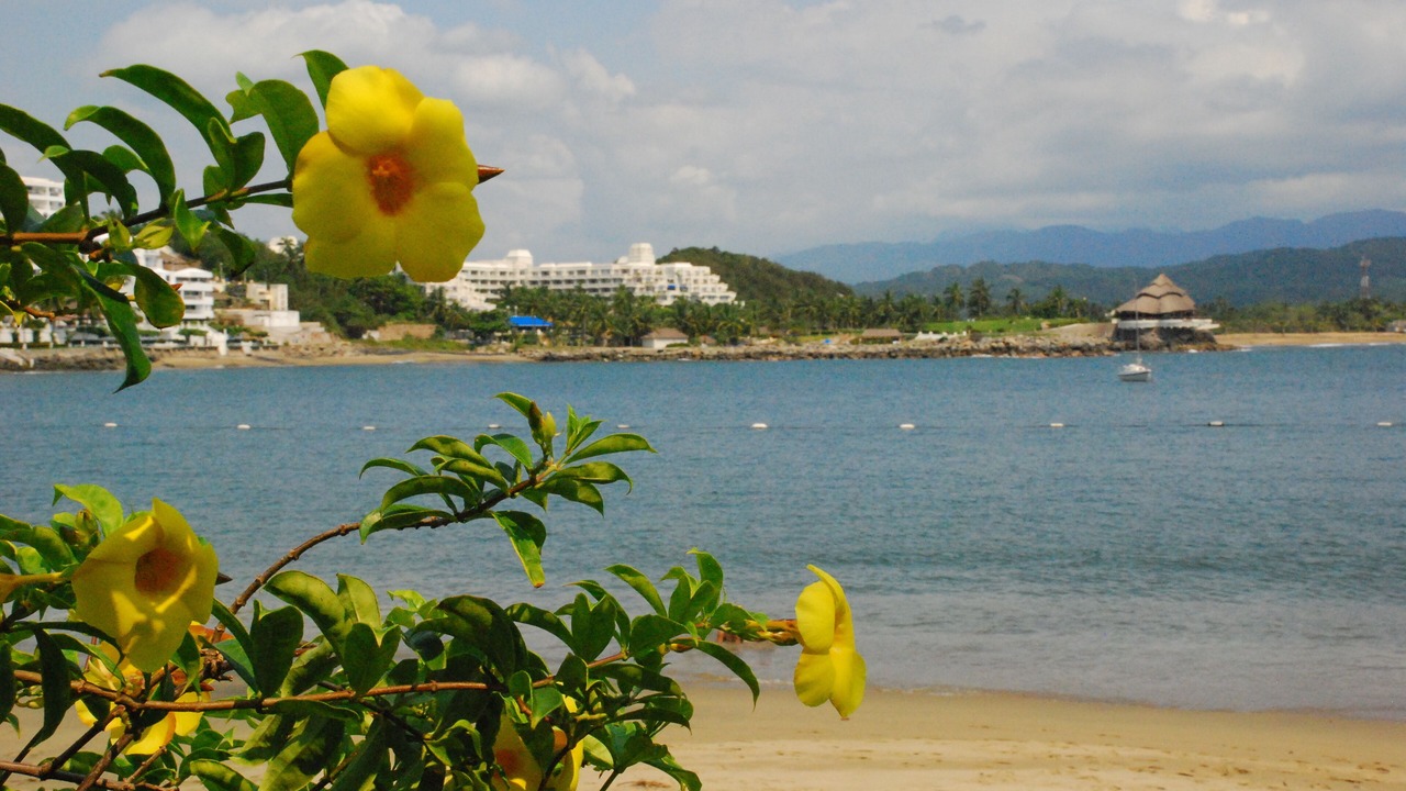 Photo of Others in La Punta