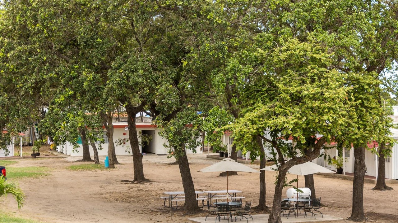Photo of Outdoor in Tampico