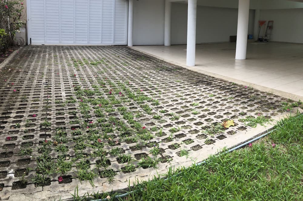 Photo of Outdoor in Veracruz