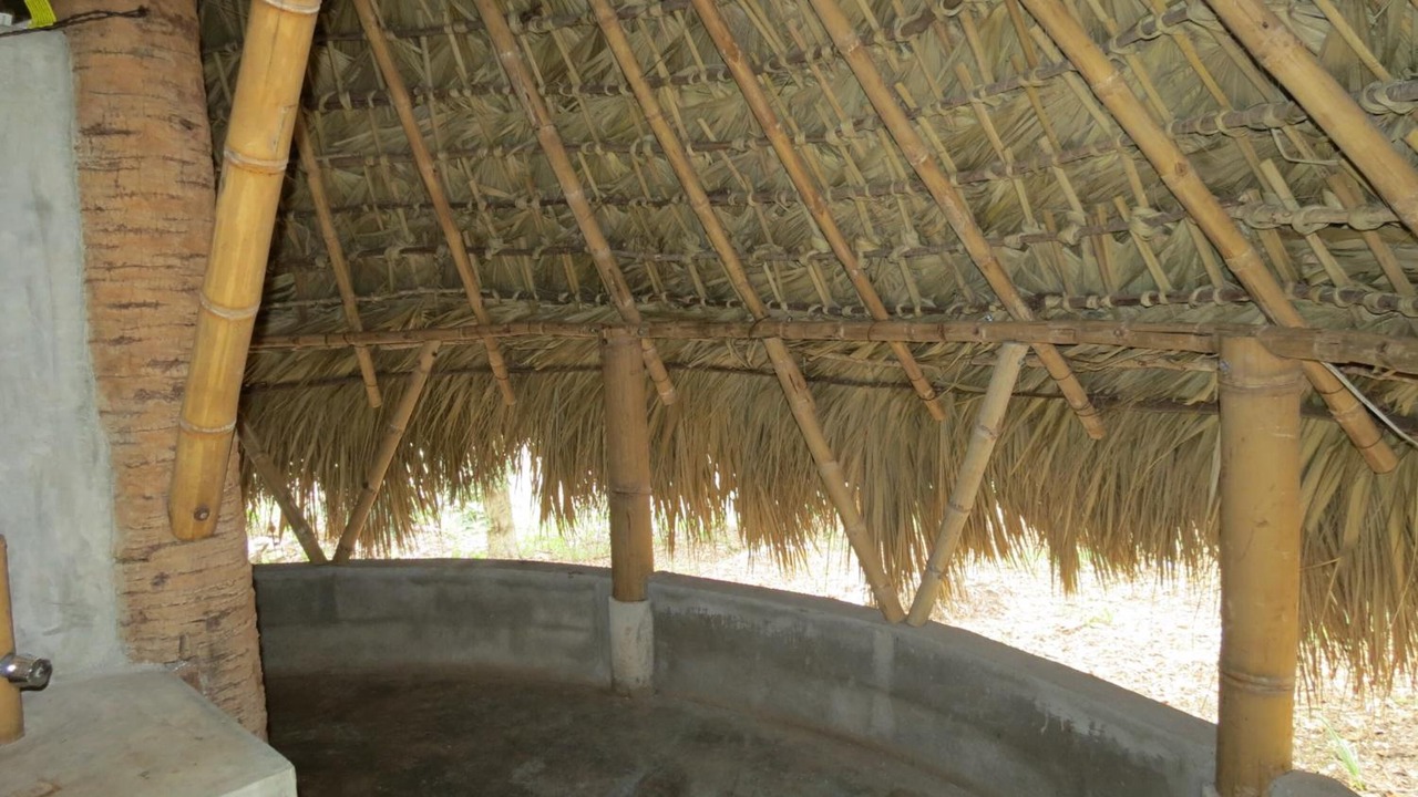 Photo of Others in El Naranjo